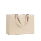 Luxury Paper Gift Bag Ribbon Handle Shopping Tote - White